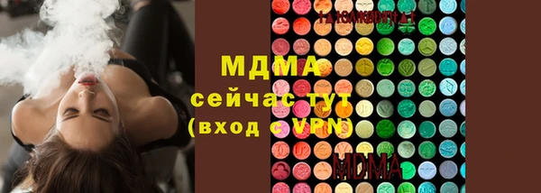 индика Арсеньев