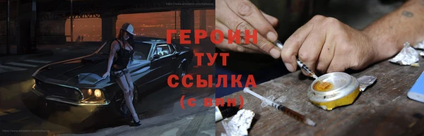 индика Арсеньев