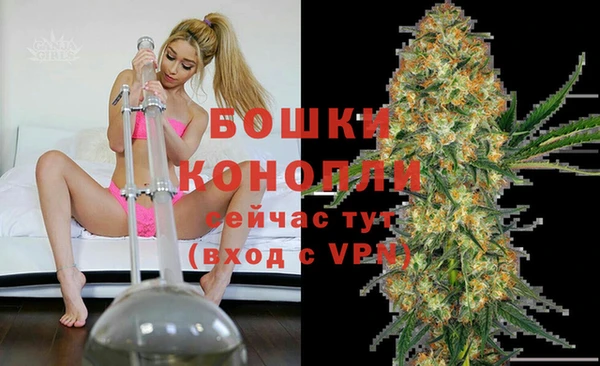 индика Арсеньев