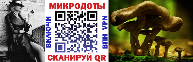 магазин продажи   Моздок  hydra   Галлюциногенные грибы Psilocybe 